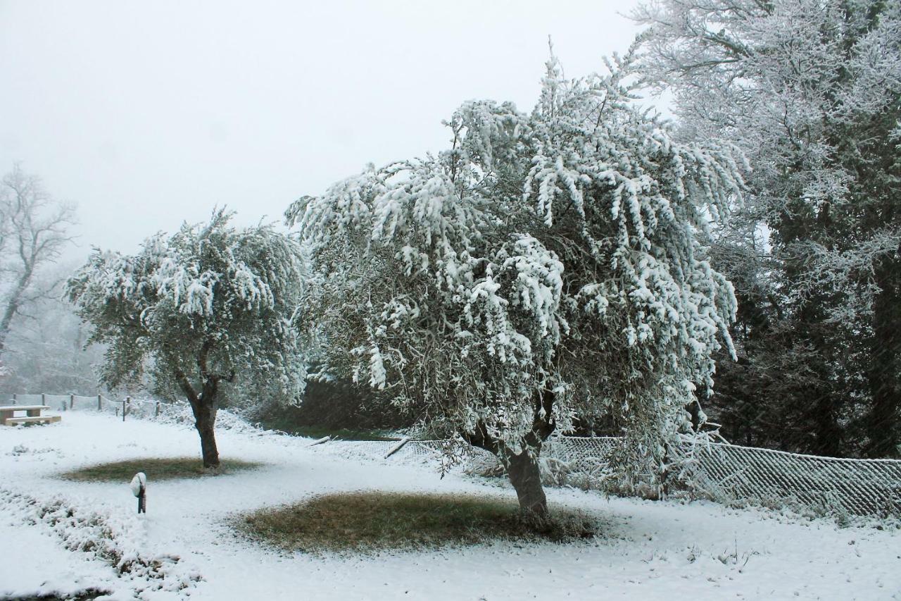 Fattoria San Paolo Agriturismo Montecastelli Pisano المظهر الخارجي الصورة